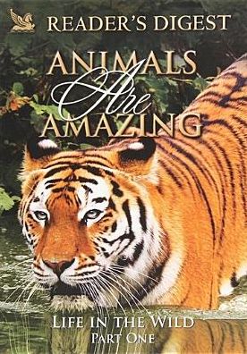 Animals Are Amazing: Life in the Wild - Part One