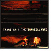 The Surveillance
