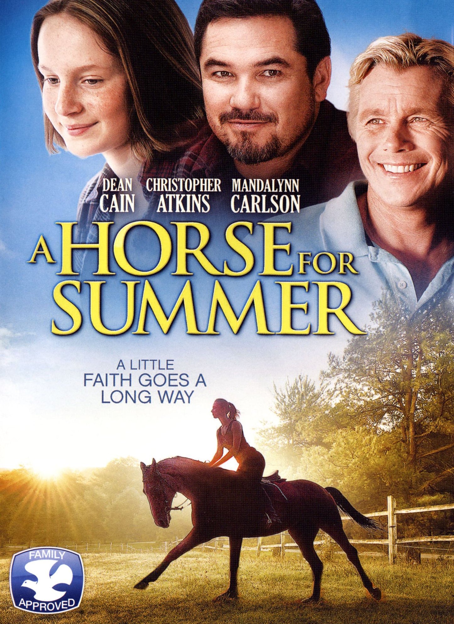 HORSE FOR SUMMER / (WS) (AMAR)