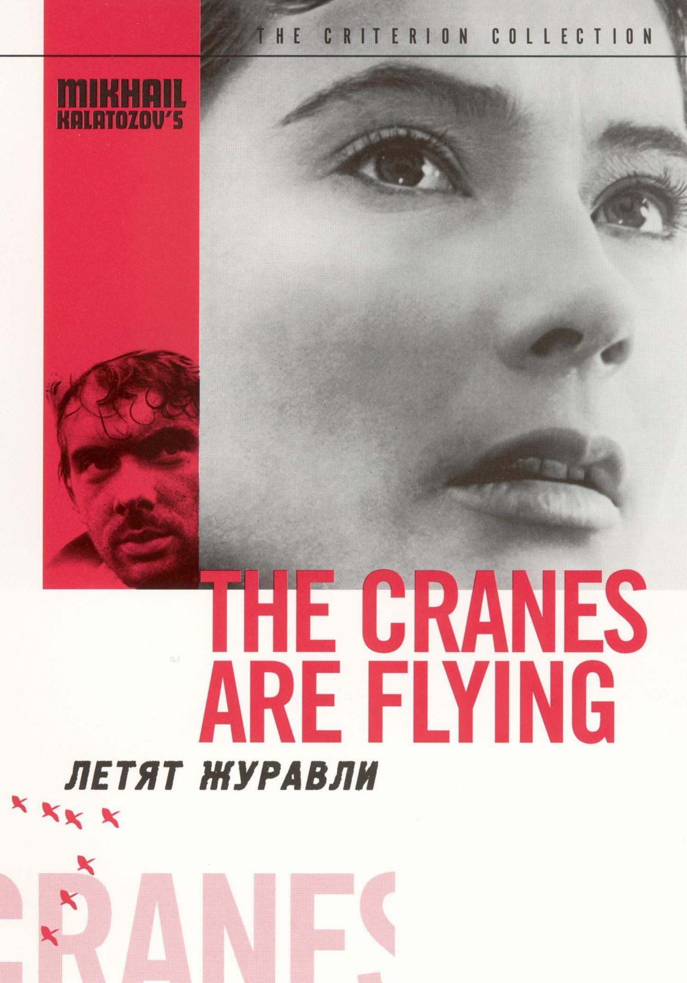 The Cranes Are Flying [Criterion Collection]
