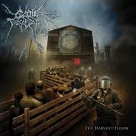 The Harvest Floor