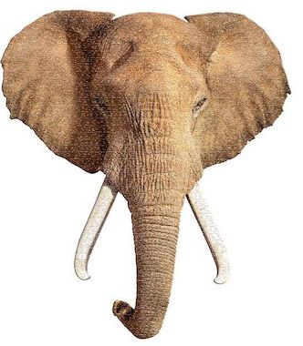 Madd Capp Puzzles - I AM ELEPHANT