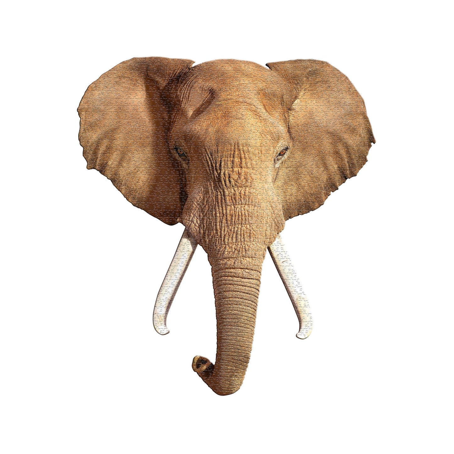Madd Capp Puzzles - I AM ELEPHANT
