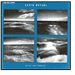 Gavin Bryars: After The Requiem