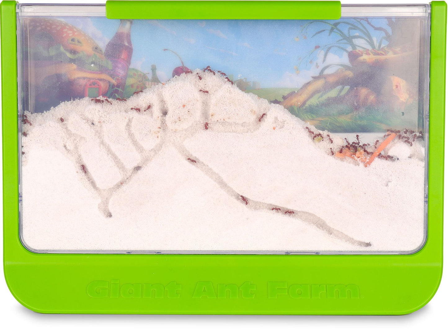 Giant Ant Farm