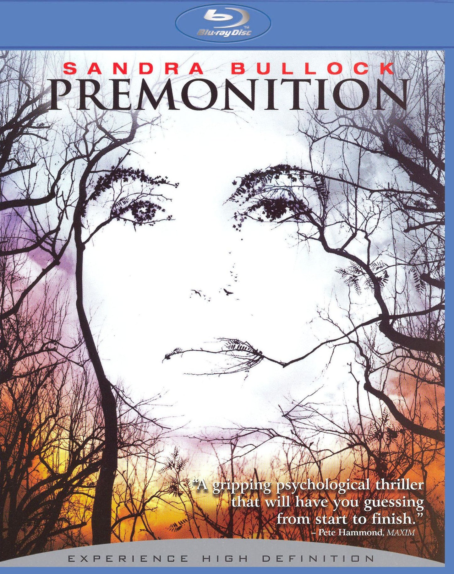 Premonition [Blu-ray]