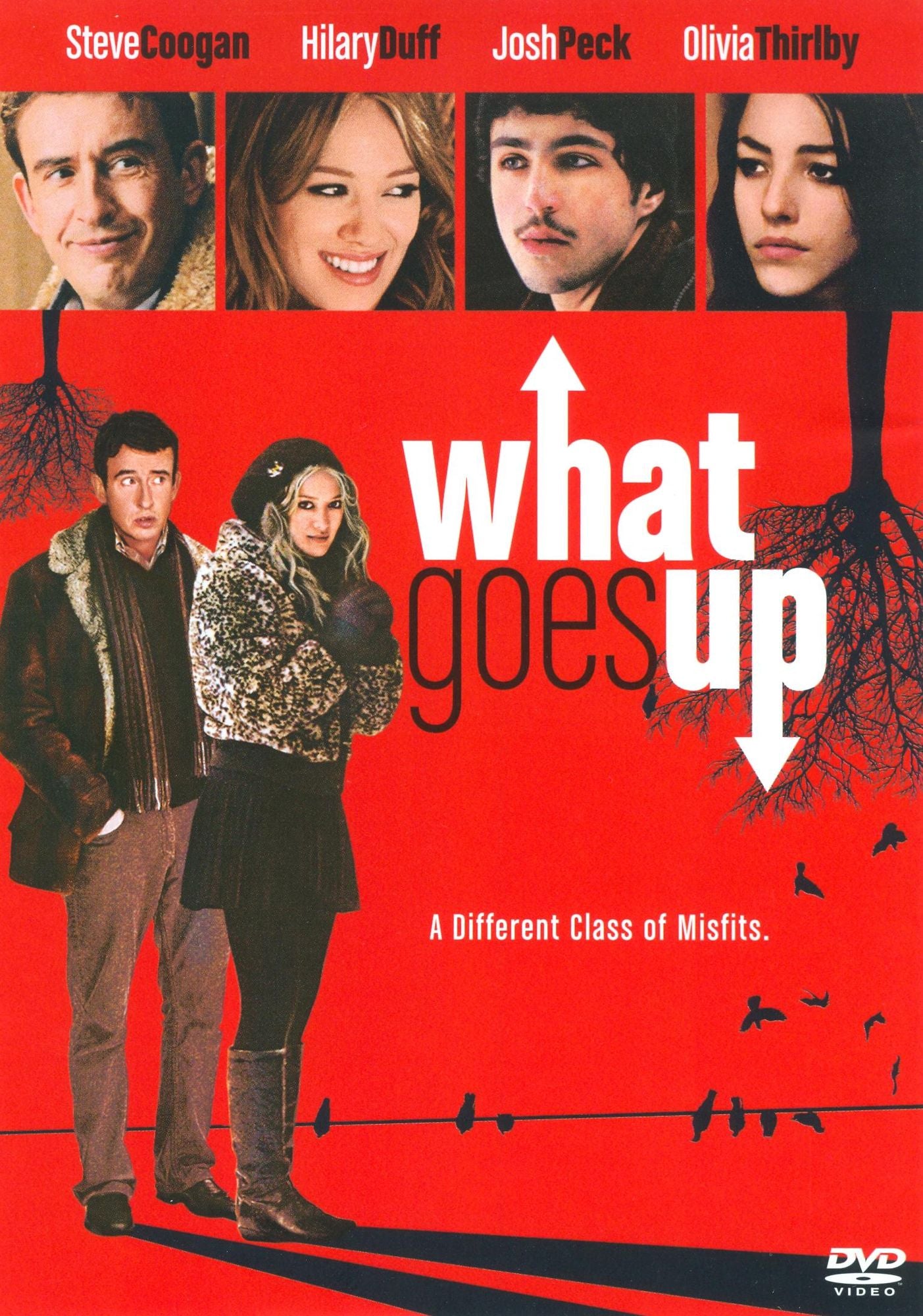 What Goes Up