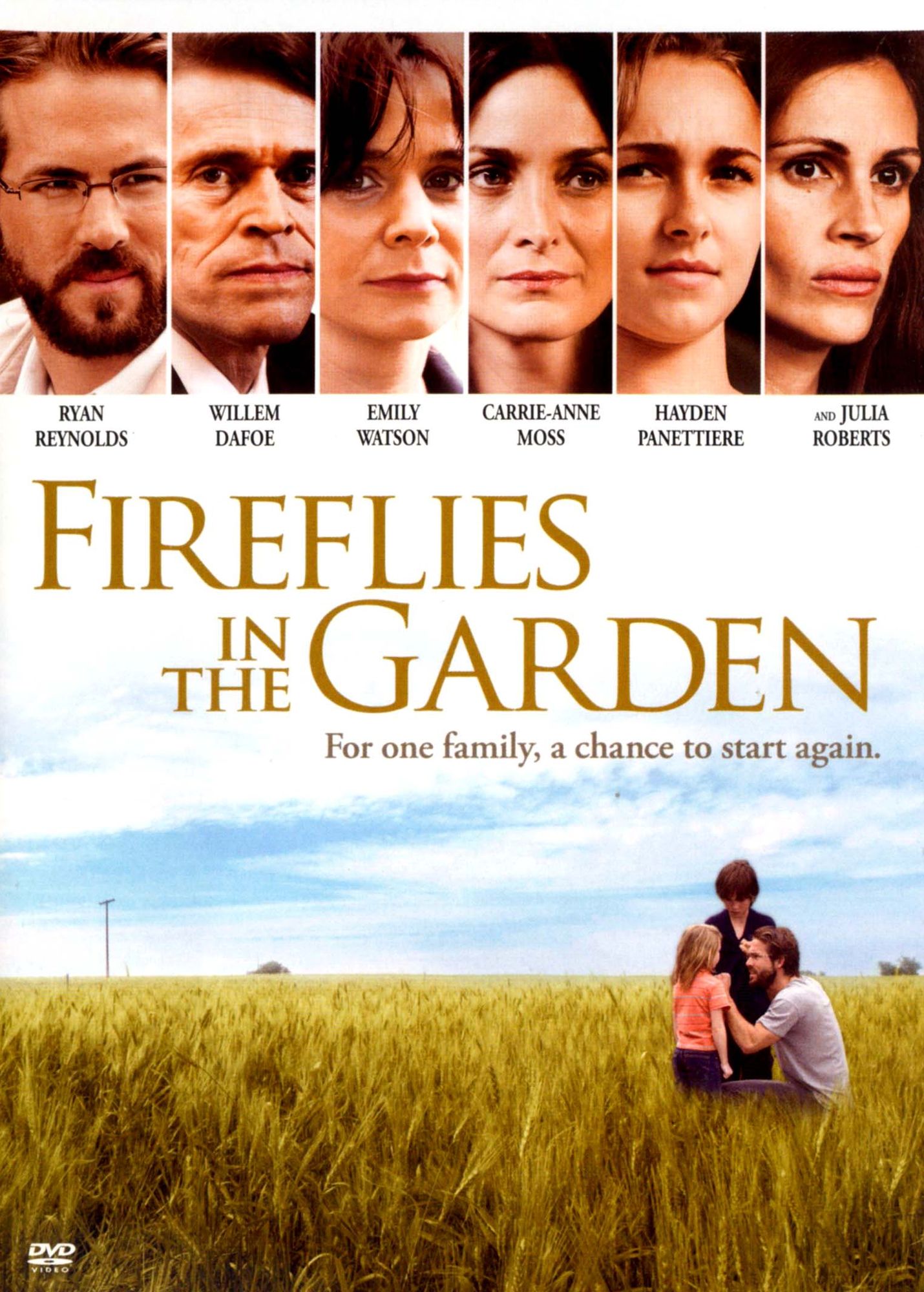 Fireflies in the Garden