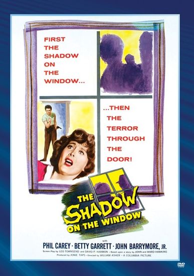 Shadow on the Window