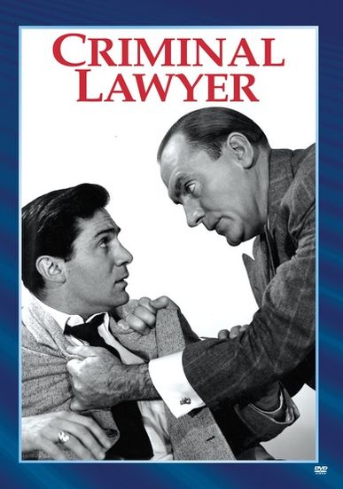 Criminal Lawyer