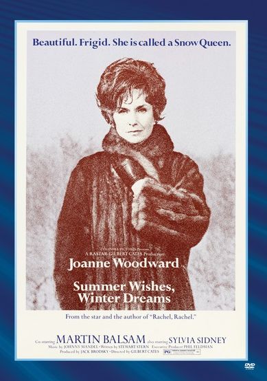 Summer Wishes, Winter Dreams