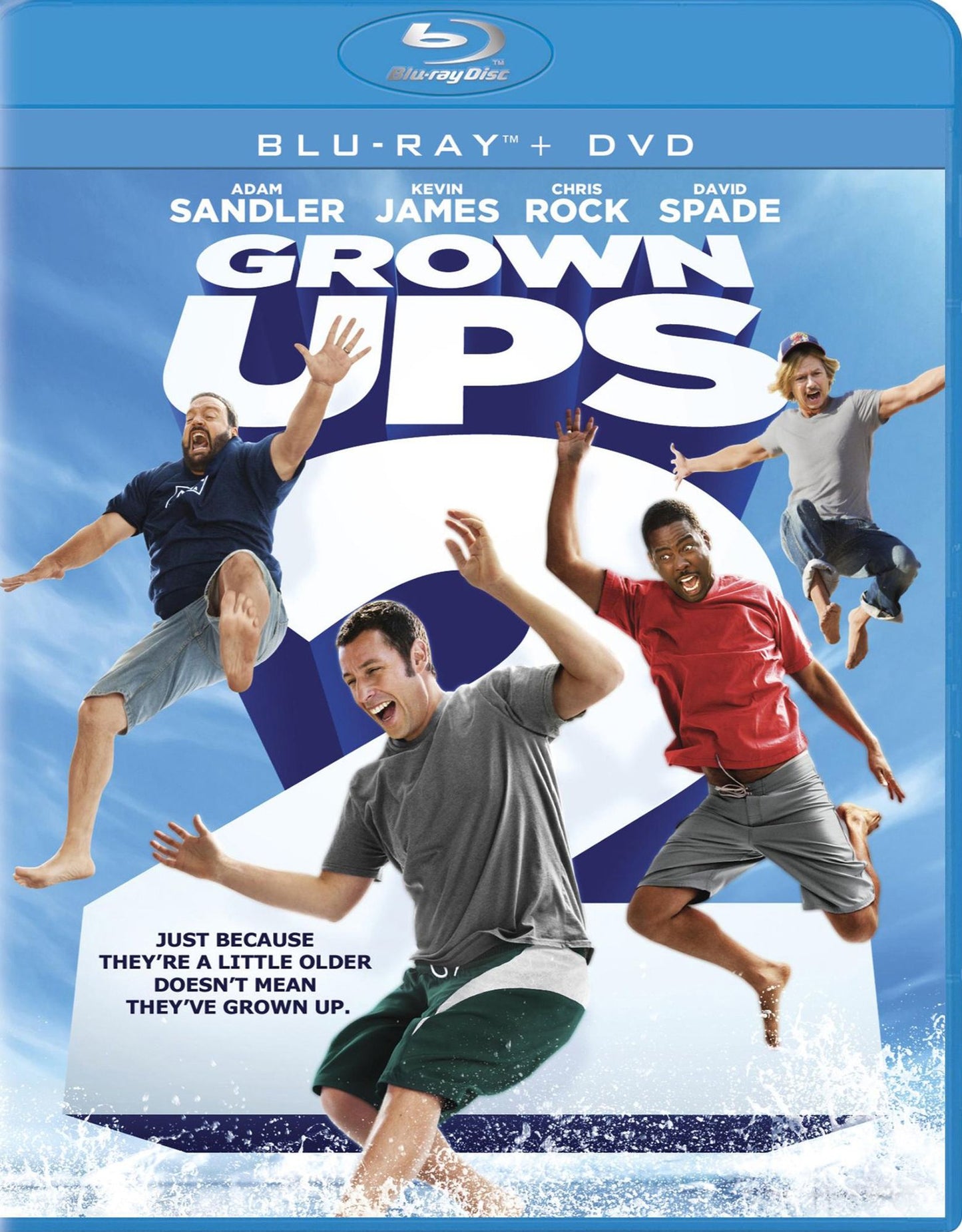 Grown Ups 2