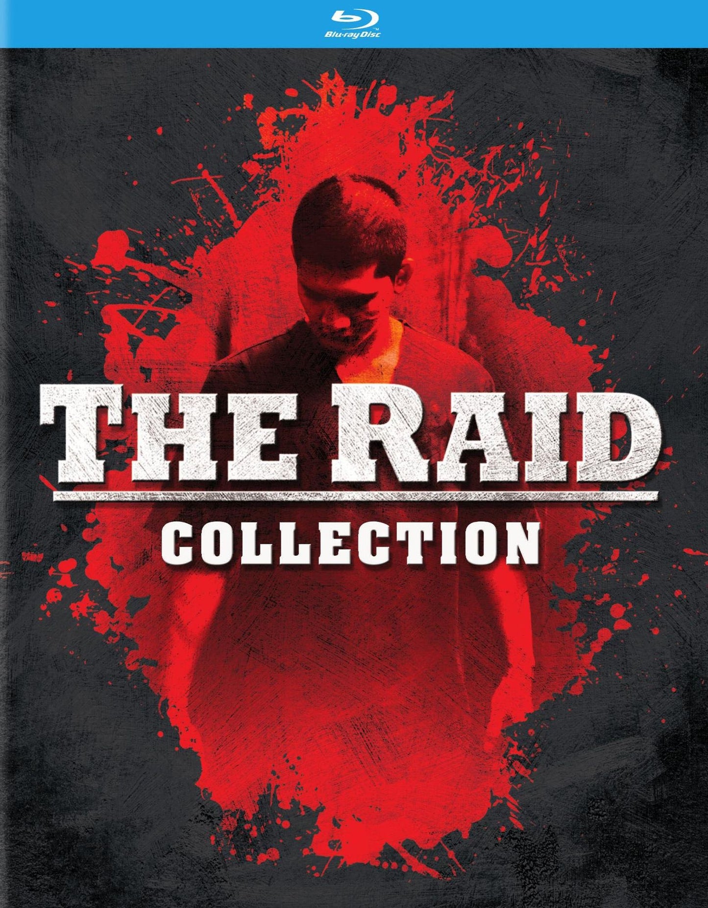 Raid 2/Raid: Redemption