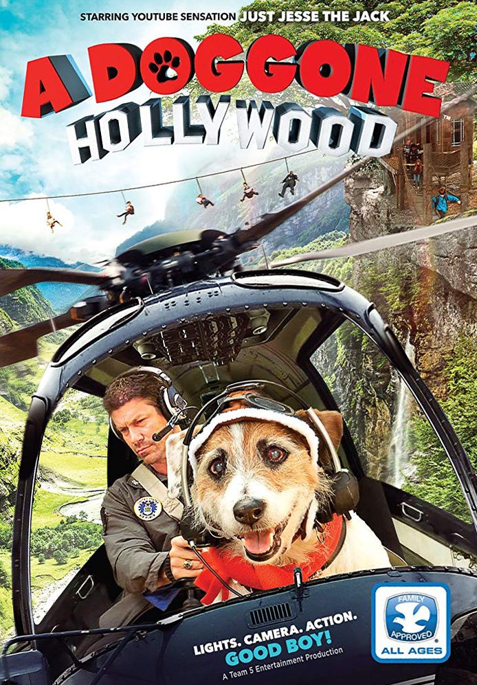 A Doggone Hollywood