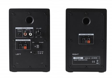 Teac LS-M100-B Powered Speaker