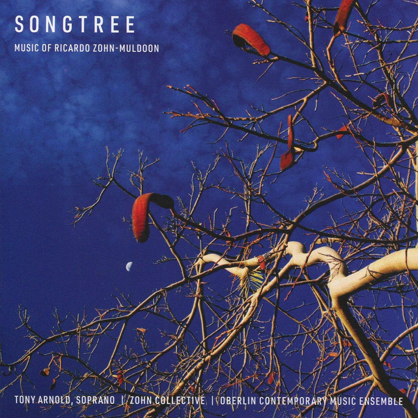 Songtree (Muldoon / Brown)