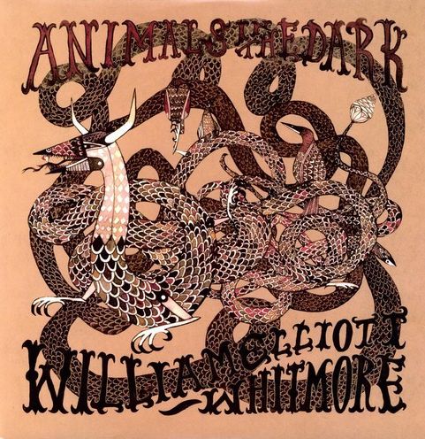 Animals In The Dark