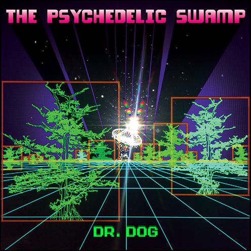 Psychedelic Swamp [Lp]