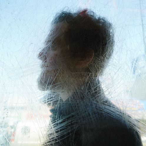 Didn't He Ramble [Lp]