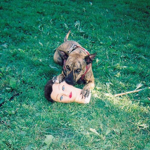 Cody [Lp]