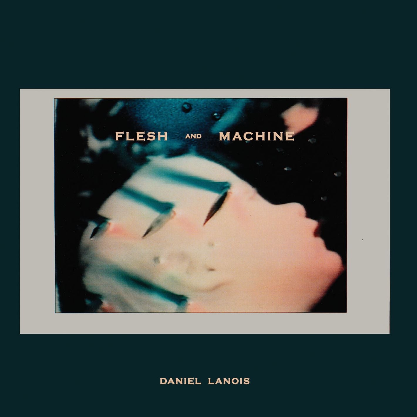 FLESH & MACHINE