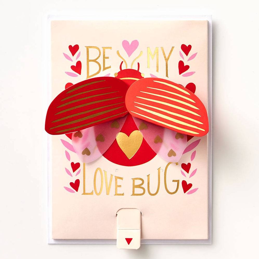 Pop Up Love Bug Valentine's Day Card