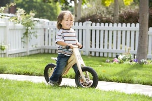 Prince Lionheart balanceBike