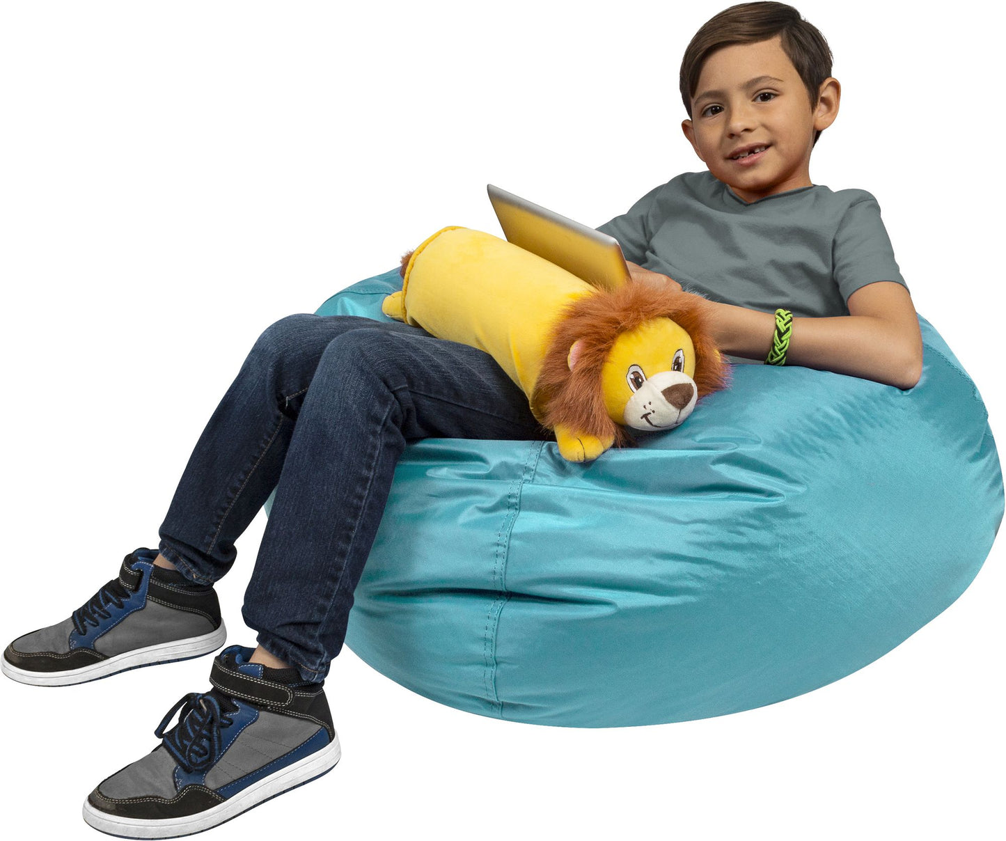 Lap Pet Tablet Pillow, Lion