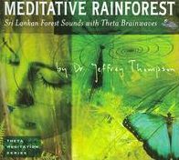 Meditative Rainforest