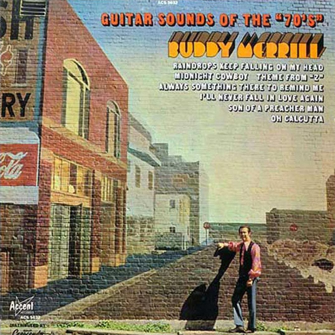 Electro Sonic Guitars