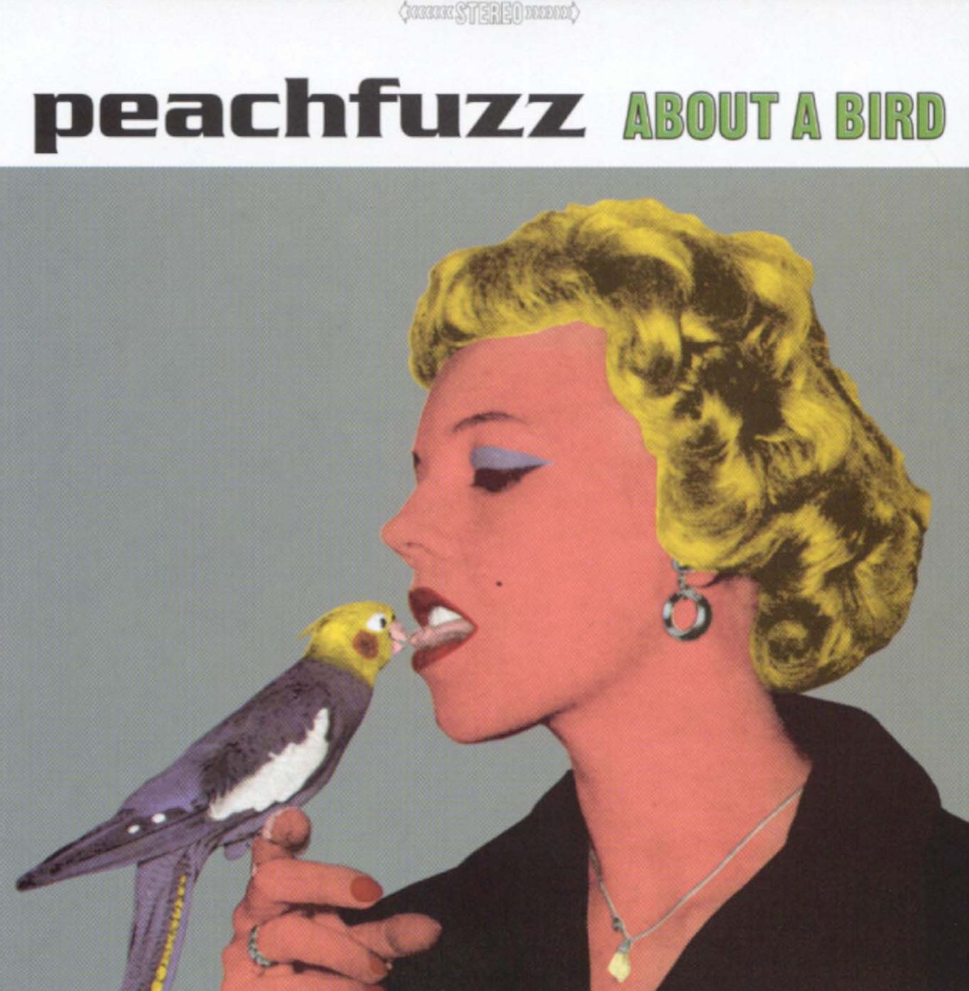 About a Bird