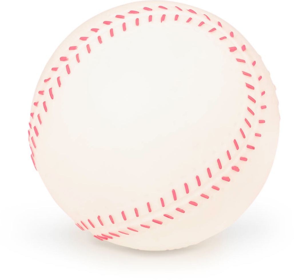 Sports Balls 4 Balls & Carry Bag