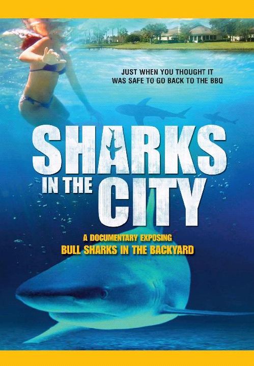National Geographic: Sharks in the City
