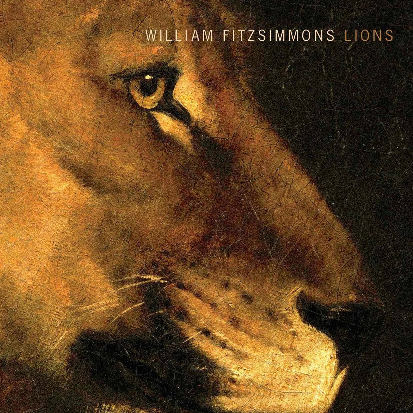 Lions [Lp]
