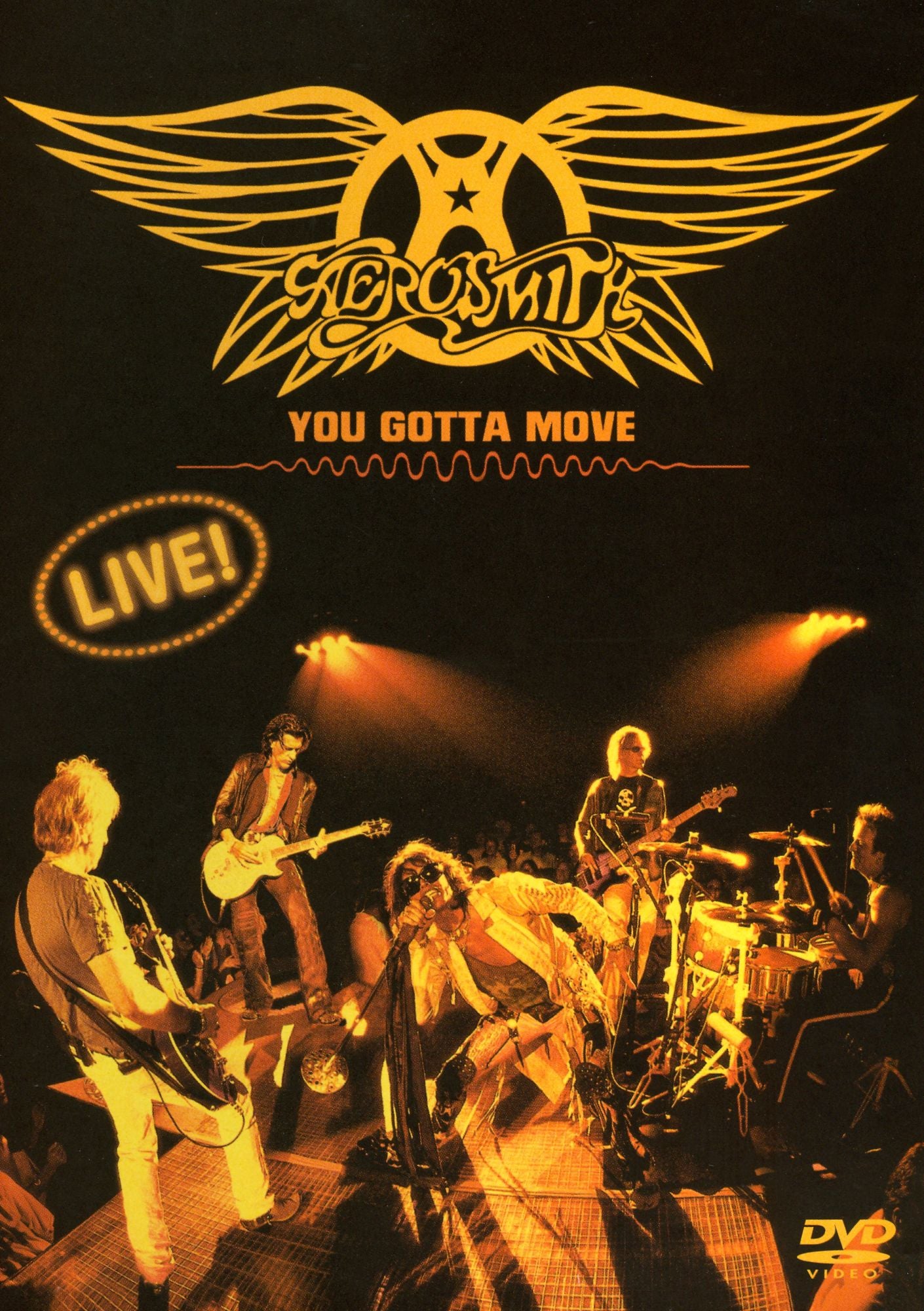 Aerosmith: You Gotta Move [2 Discs]