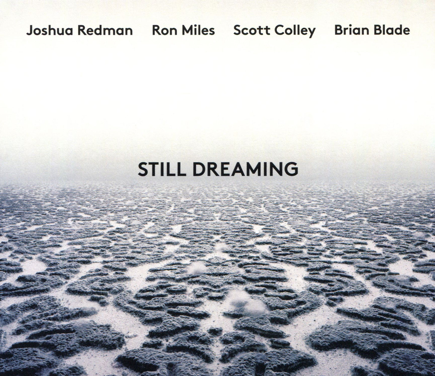 Still Dreaming