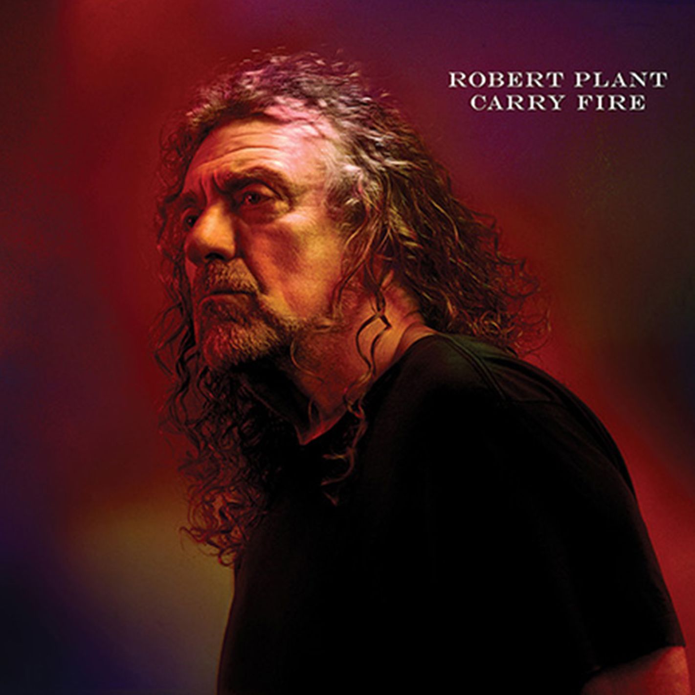Carry Fire (B&n)