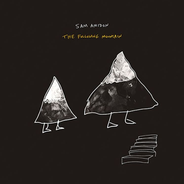 The Following Mountain [Lp]
