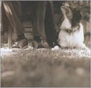 Good Dog Happy Man (Bill Frisell)