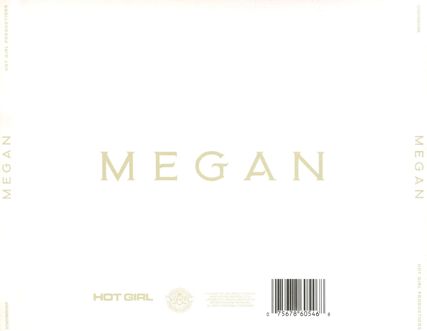 Megan (Megan Thee Stallion)