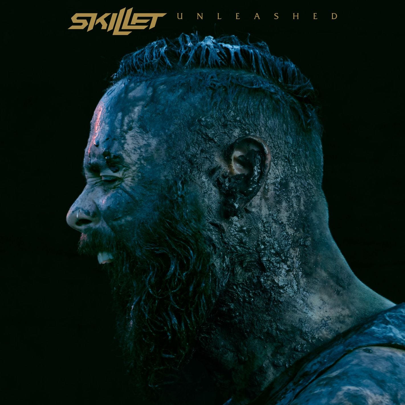 Unleashed [Lp]