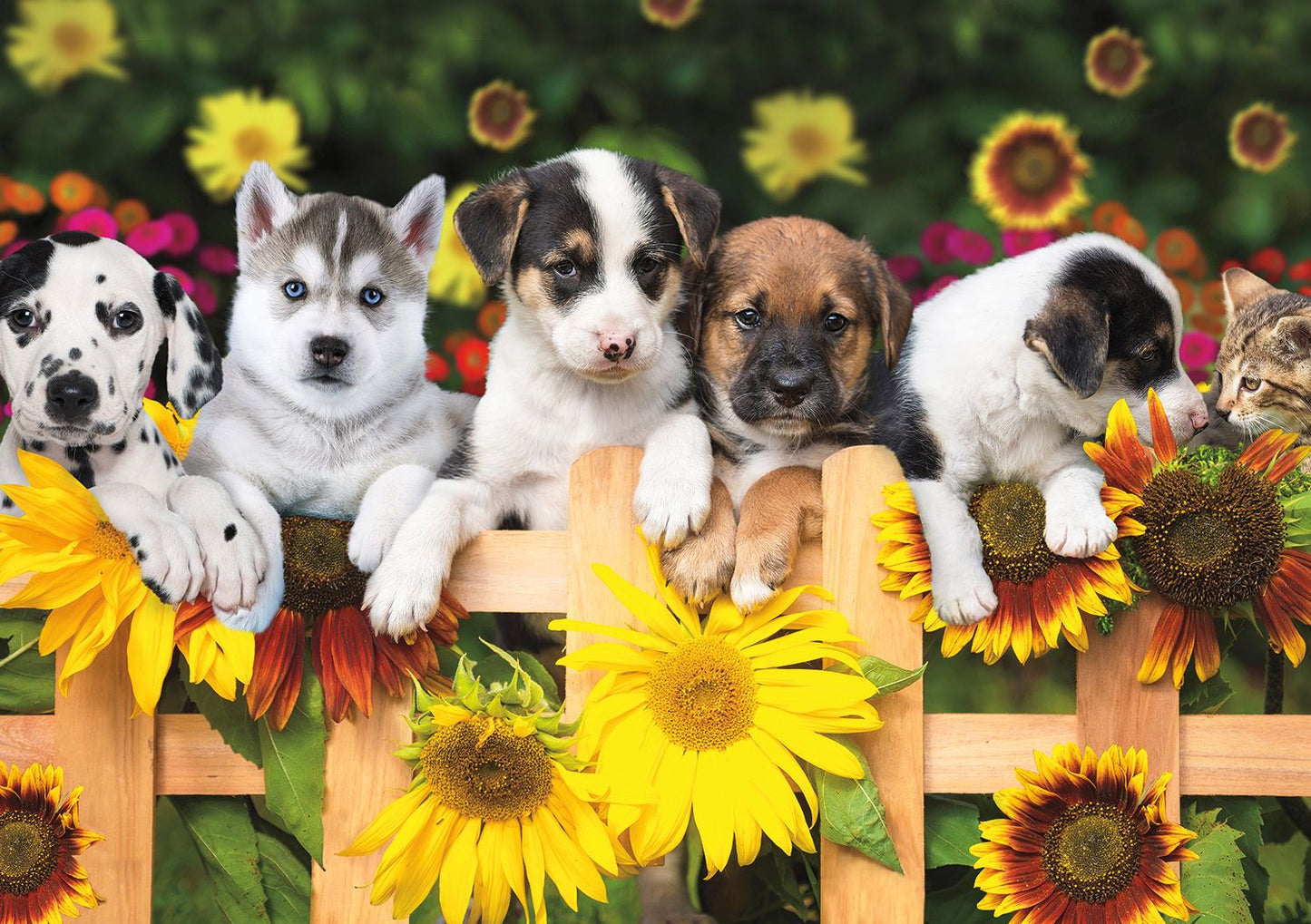 300 Adorable Animals: The Gangs all Here Puzzle