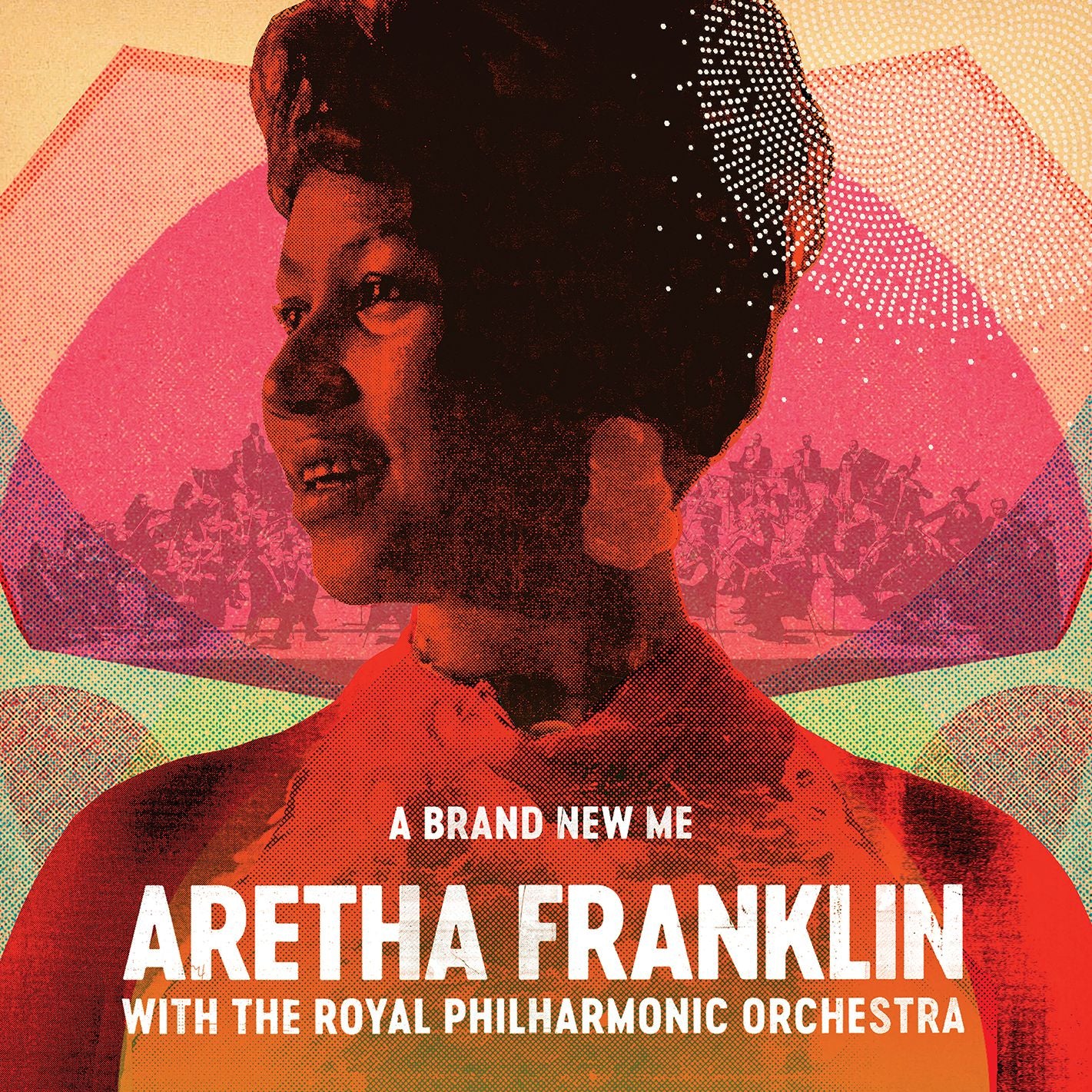 Brand New Me: Aretha (B&n)