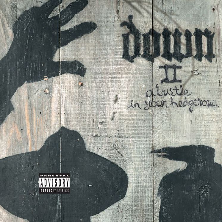Down Ii (A Bustle In Your Hedgerow) [Lp]