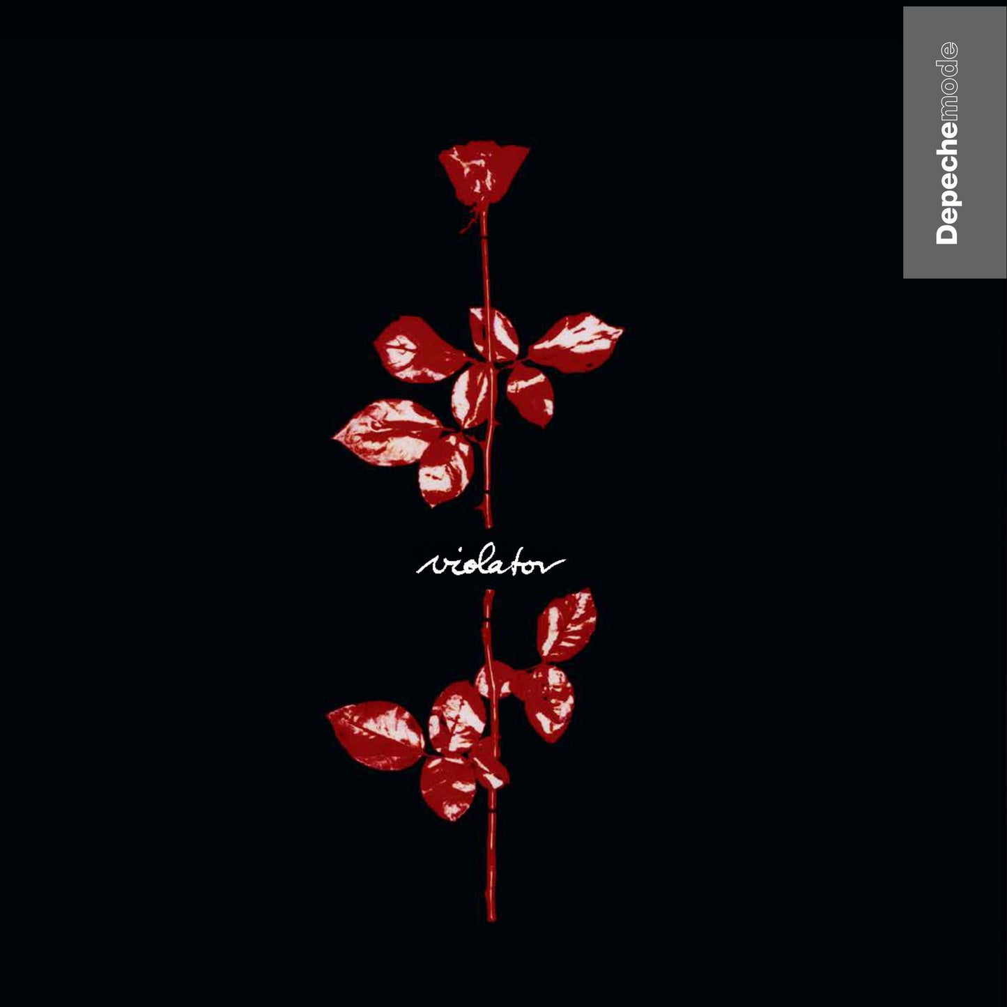 VIOLATOR (OGV)