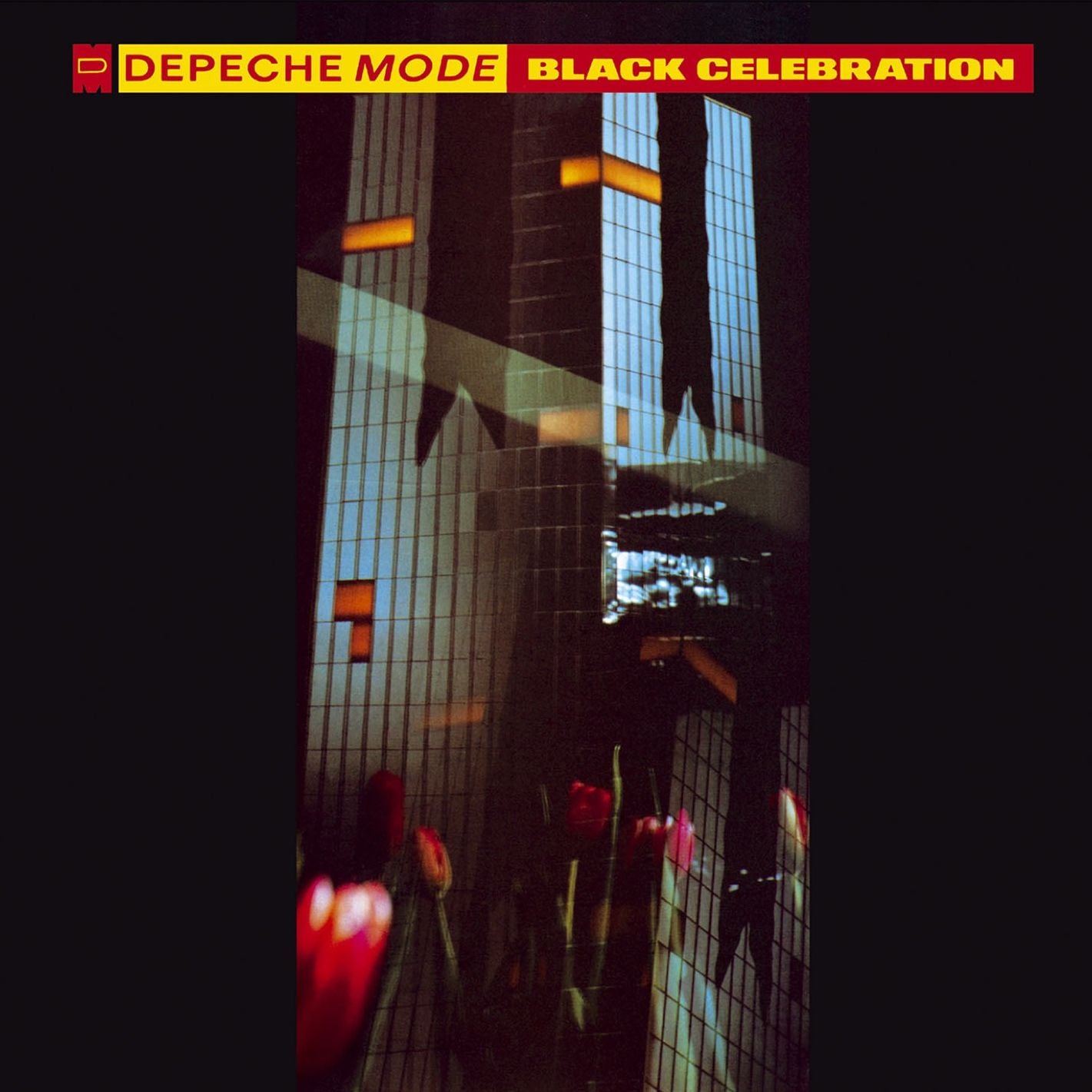 BLACK CELEBRATION (OGV)