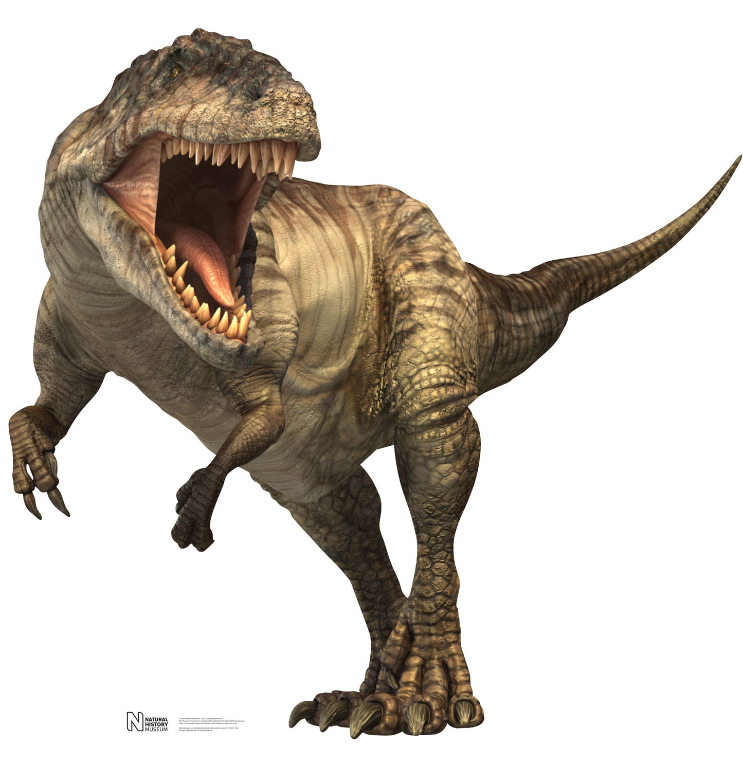 Advanced Graphics 1036 Giganotosaurus Cardboard Standup