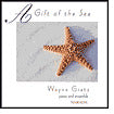 Gift Of The Sea
