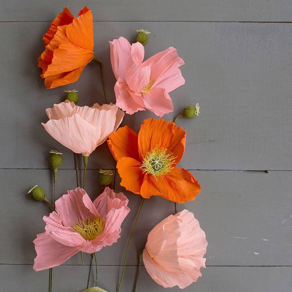 Poppies Crepe Paper Flower Kit