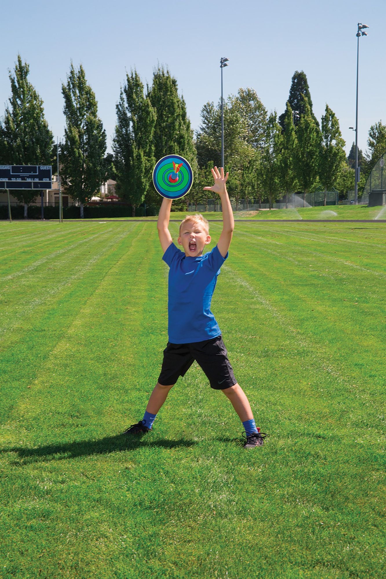 Toysmith Toss And Stick Outdoor Dart Toy